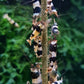 10 Pack Crystal Black Shrimp (Caridina)